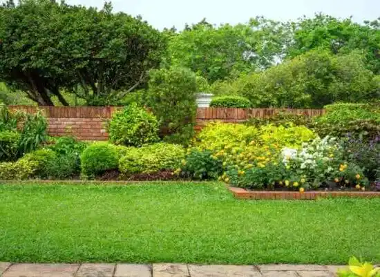 landscaping services South Rosemary